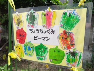 7.JPG