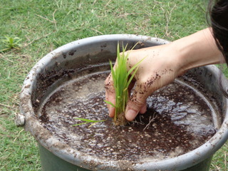 DSC00267.JPG