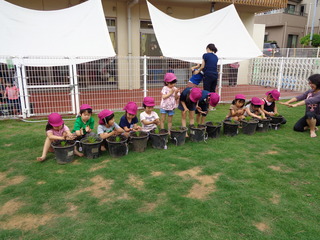 DSC00271.JPG