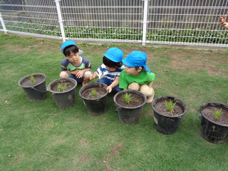 DSC00275.JPG