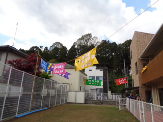 DSC02972.JPG