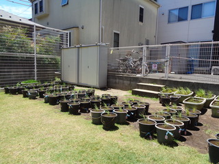 DSC03193.JPG