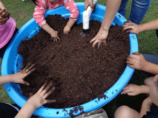 DSC08319.JPG