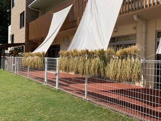 IMG_1472.jpg