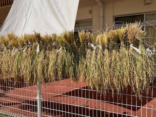 IMG_1474.jpg