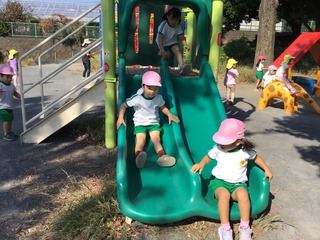 IMG_2337.JPG