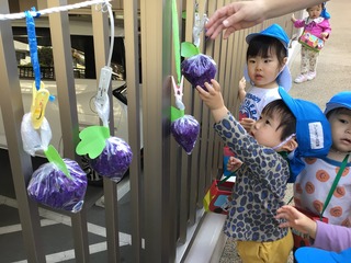 IMG_2843.JPG