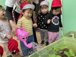 IMG_3940.JPG
