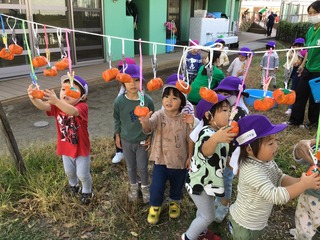 IMG_8584.JPG
